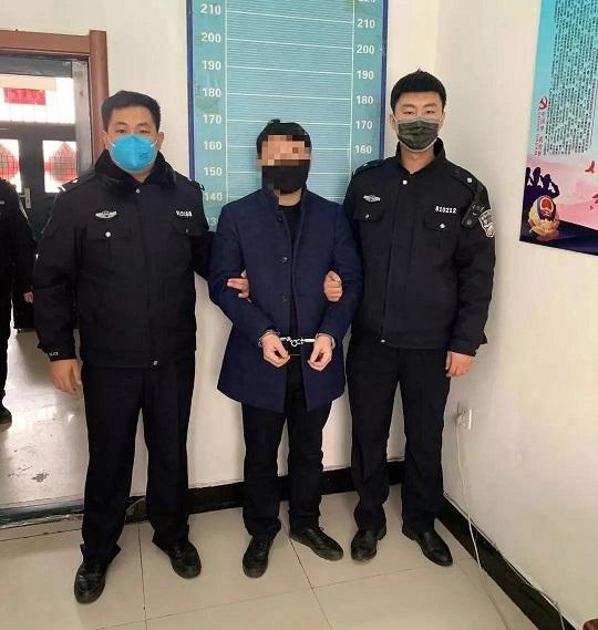 重庆与辽宁疫情报告，防控成效显著，未来展望积极