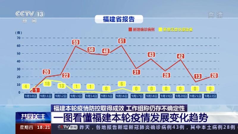 重庆与香港疫情对比，防控成效与未来展望