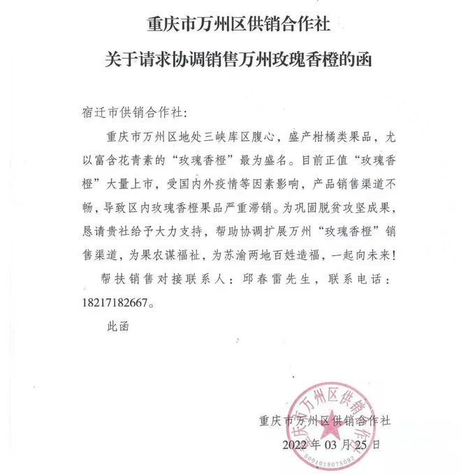 双城抗疫，重庆疫情报告与南京最新消息