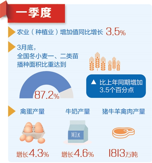 重庆，精准施策赶工降效，保障经济社会平稳运行
