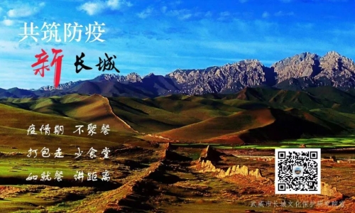 成渝携手共筑防疫长城