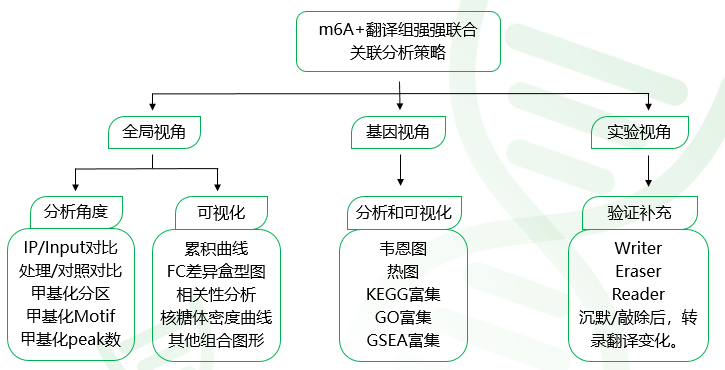 重庆海口防疫策略与成效分析