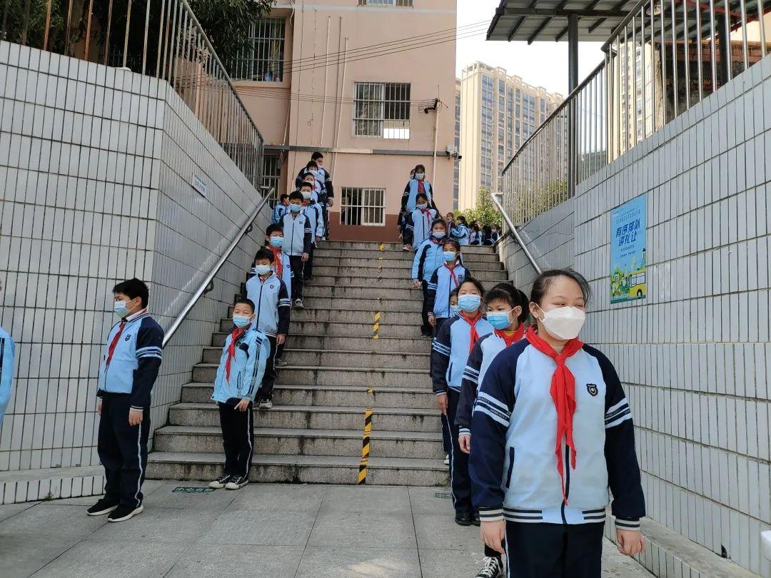 重庆与南宁，疫情应对中的挑战与机遇