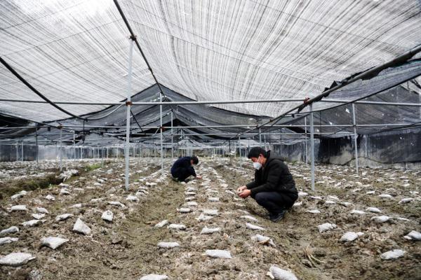重庆防疫最新要求，全面解读与应对策略