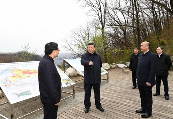 陕西省水利厅水防处，守护水资源，筑牢生态屏障