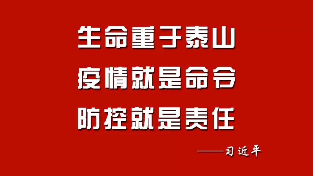 辽宁精准防控下疫情稳定 民生保障有力