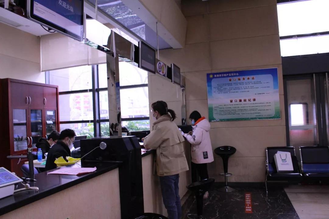 南京疫情最新动态，全面分析与未来展望
