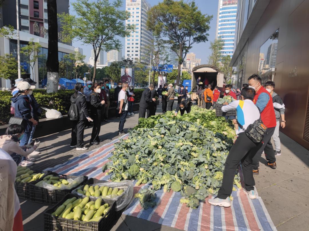 云南昆明疫情防控成效显著，稳步前行