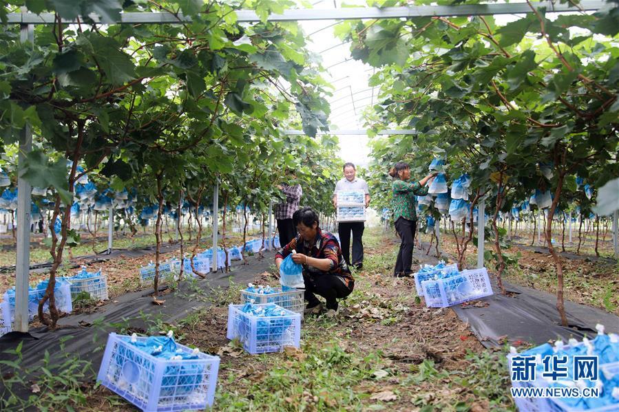 安徽科学防控精准施策保障人民安全健康