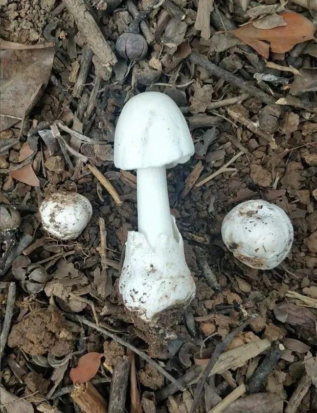 广东省疫情防控最新形势分析报告，疫情形势总体向好，仍需保持警惕