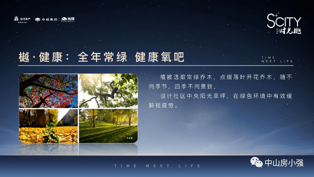 广东省疫情最新情况，全面分析与未来展望